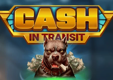 Cash in Transit İncelemesi