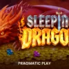 Sleeping Dragon İncelemesi